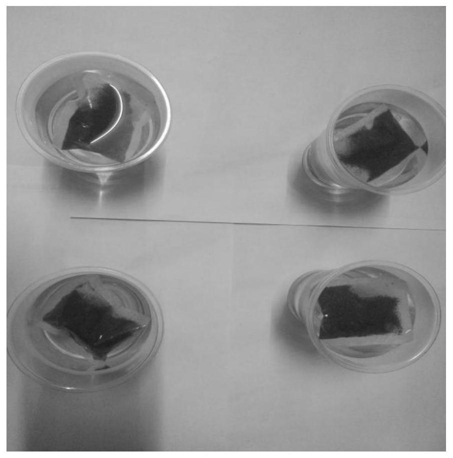 A kind of micrococcus and its application and method in the preparation of post-fermented tea of ​​Xupu Yao tea