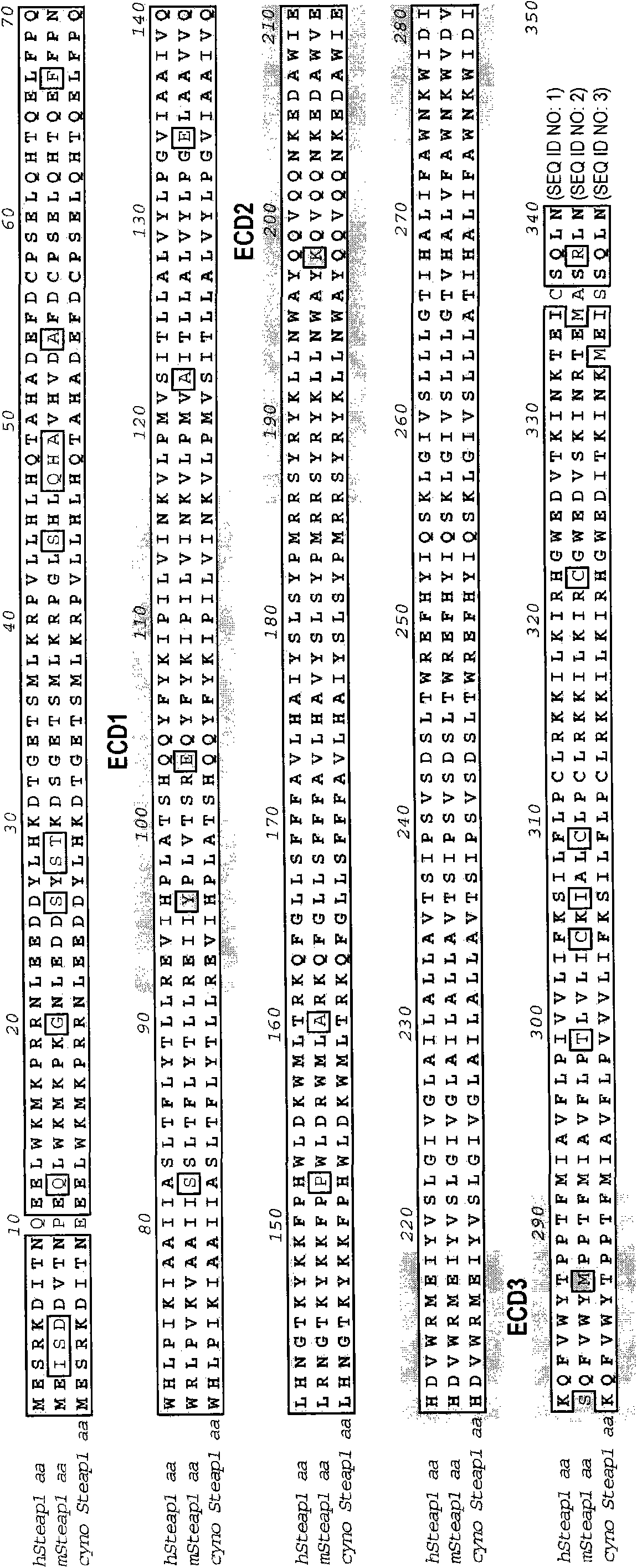 Antibodies and immunoconjugates and uses therefor