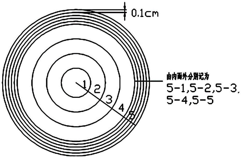 Method of layer-by-layer damage analysis on rock