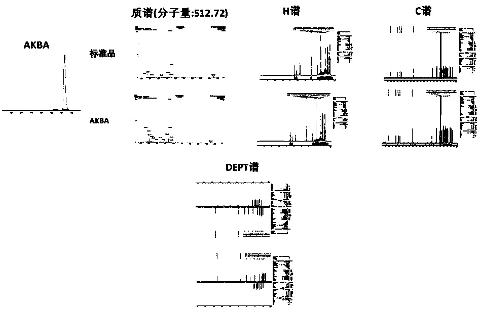 Composition for treating psoriasis and preparation method thereof