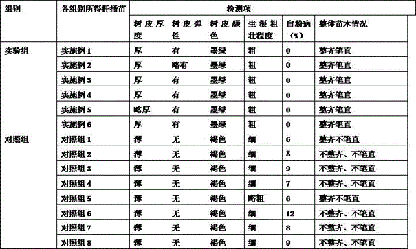 Regulator for cutting seedling and transplanting of aceraceous plants such as red maple and planting method thereof