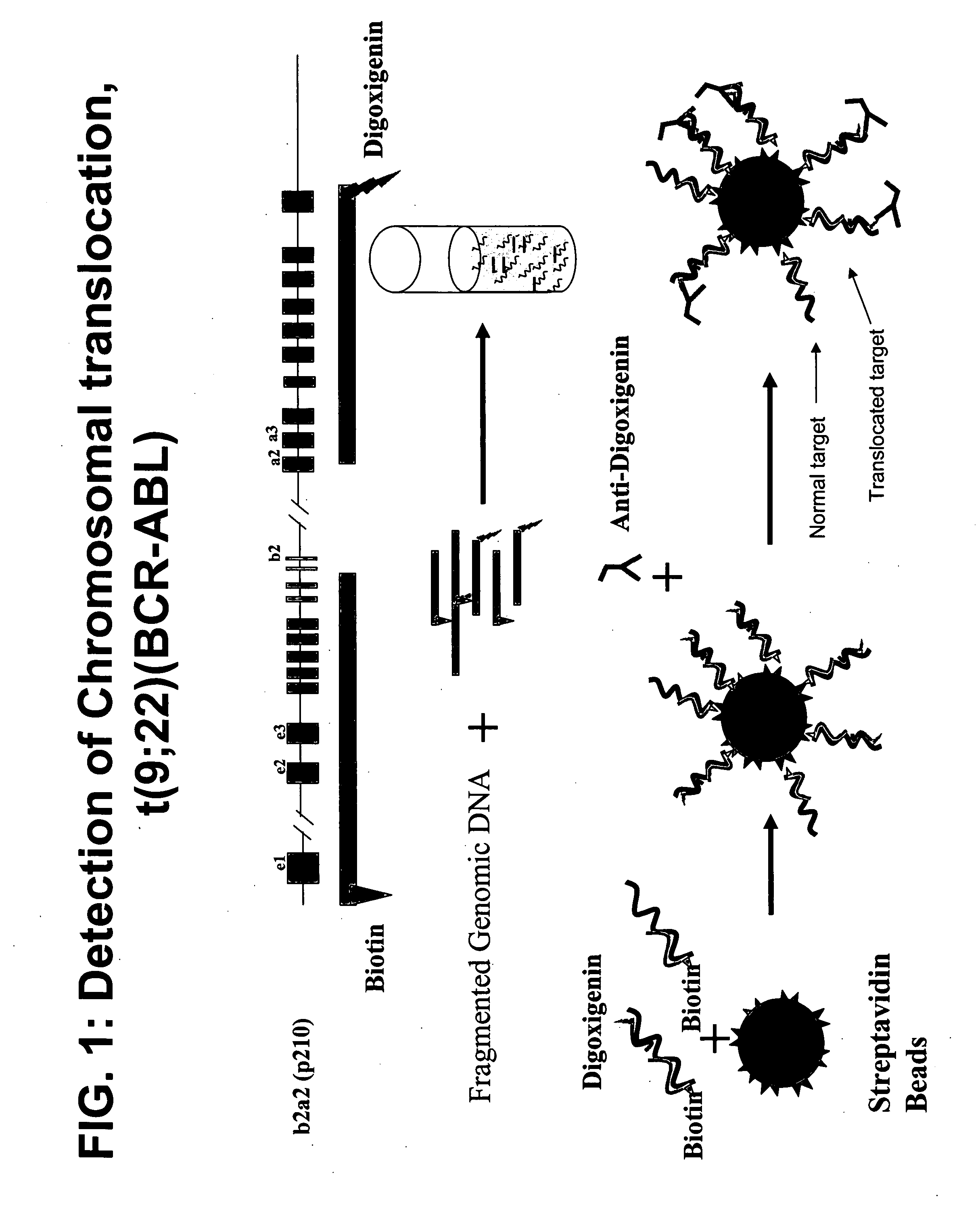 Non-in situ hybridization method for detecting chromosomal abnormalities