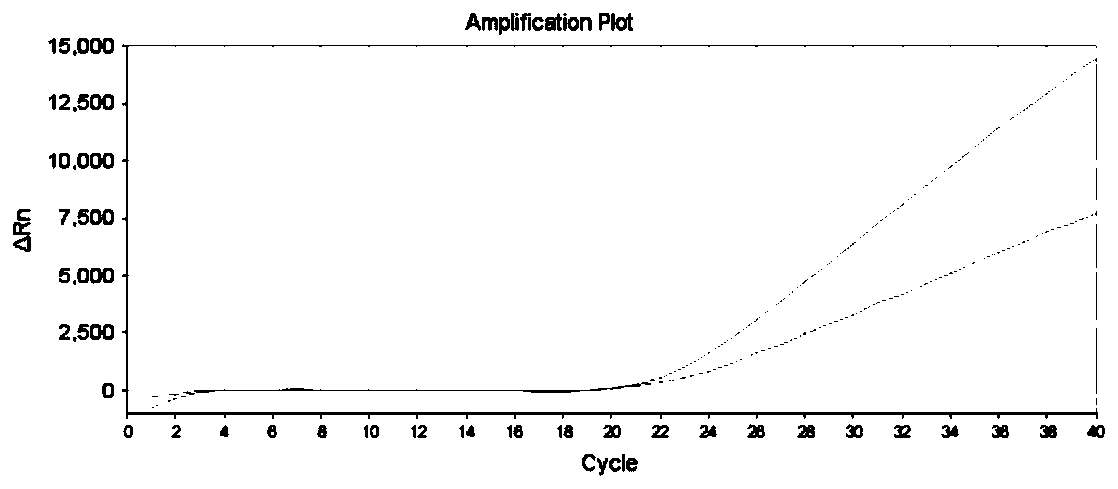 Gene detection method, primer probe combination and kit for precise drug use of depression