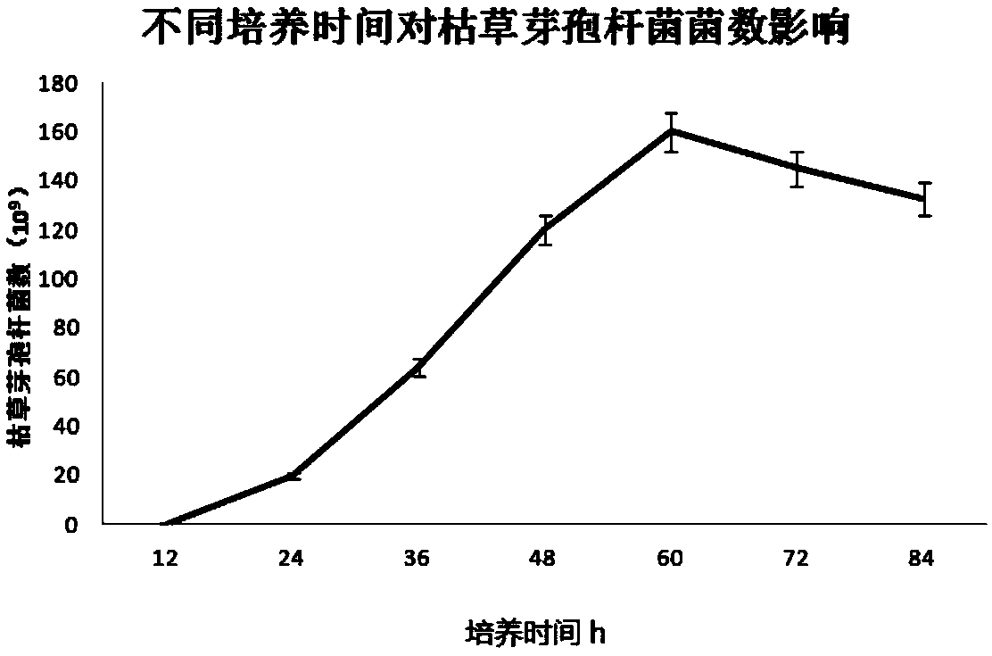 A method for producing Bacillus subtilis by solid fermentation using chondroitin sulfate to produce industrial waste bone sludge as raw material