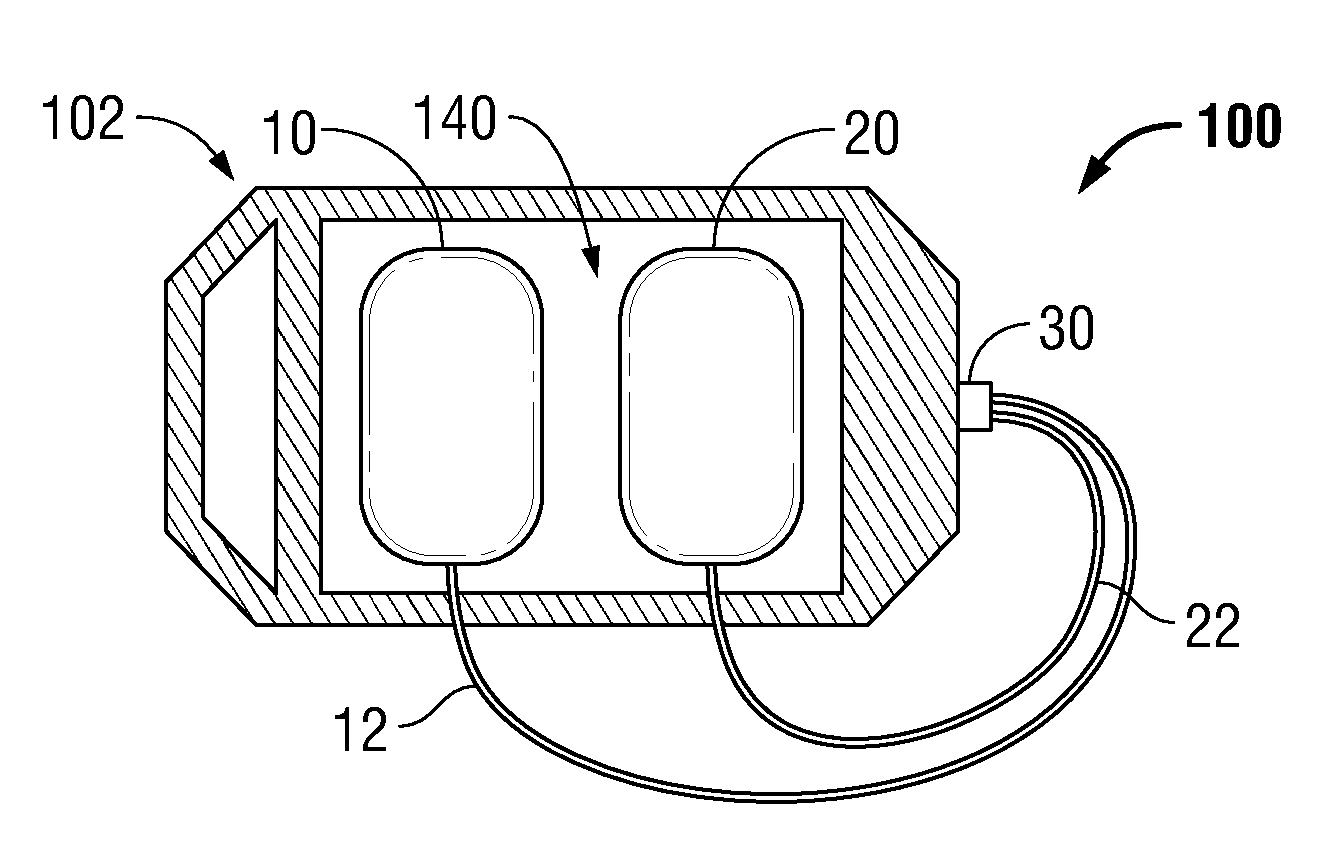 Electrode Delivery System