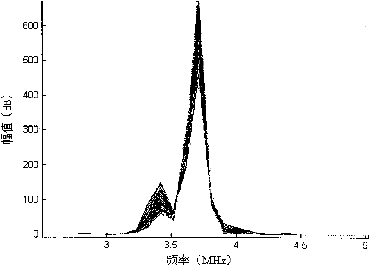 Ultrasonic detection device for Chinese medicament extract concentrated solution density and application