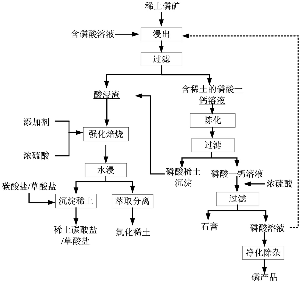 Method for recovering phosphorus and rare earth from phosphate rock containing rare earth