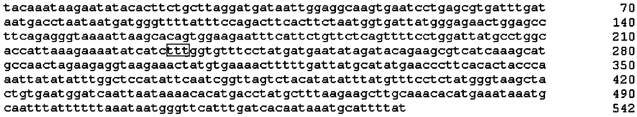 Method for detecting mutation on locus deltaF508 of CFTR (Cystic Fibrosis Transmembrane Regulator) gene and oligonucleotide