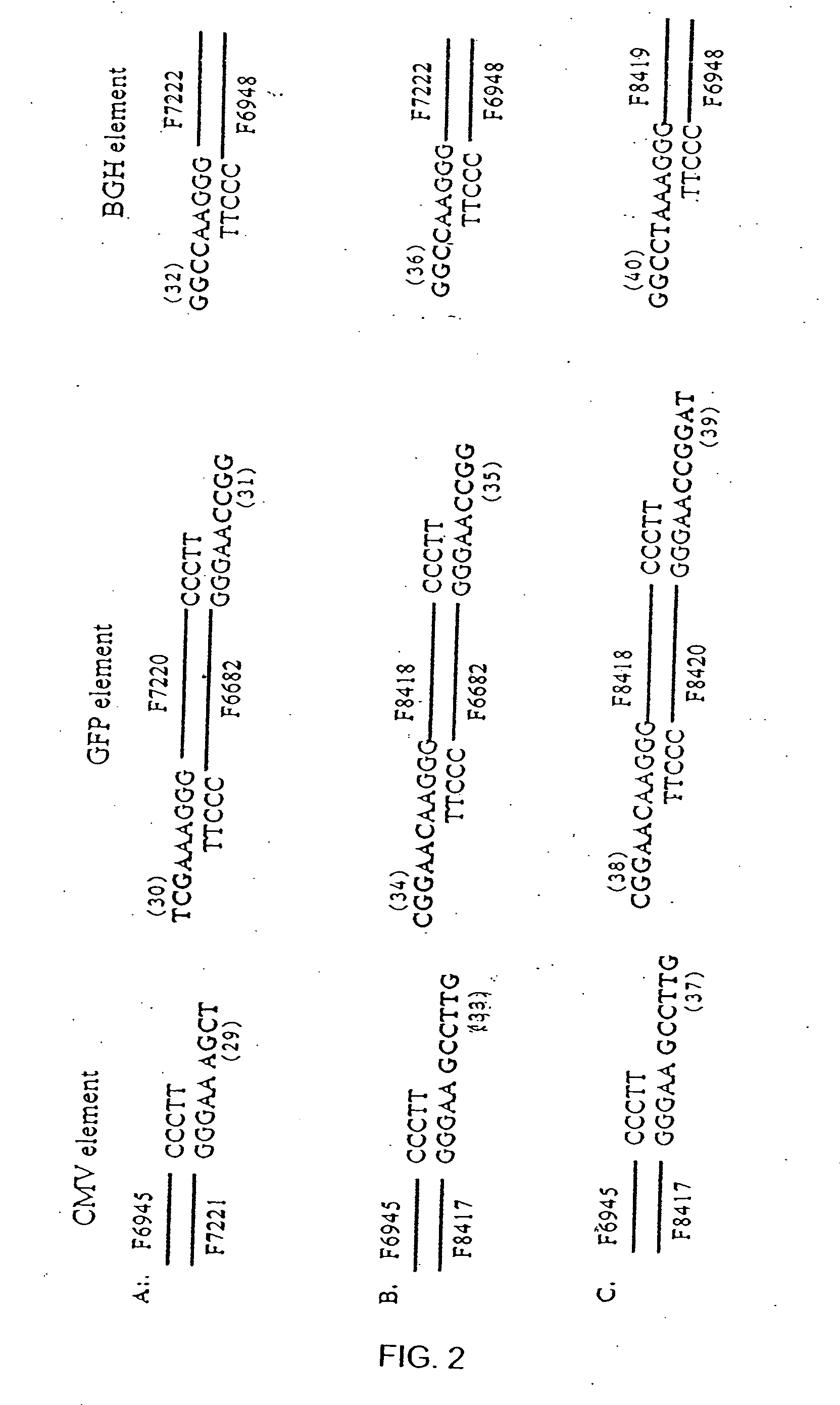 Methods and compositions for generating recombinant nucleic acid molecules