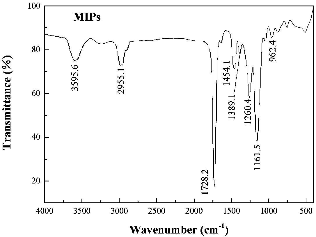 Preparation method of nitrosamine sterilization byproduct molecularly imprinted polymer and application