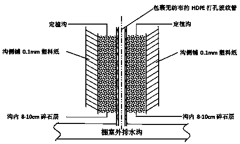 Method for original soil cultivation of facility grapes in coastal heavy saline-alkali soil