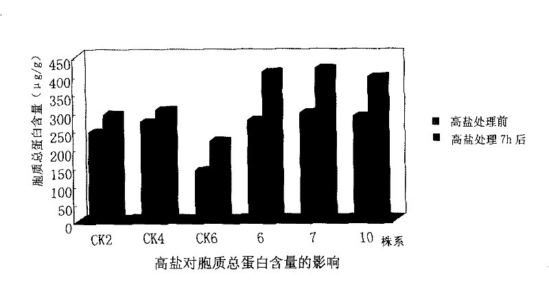 Populus euphratica dreb2 transcription factor cDNA sequence, expression vector containing the sequence and application thereof