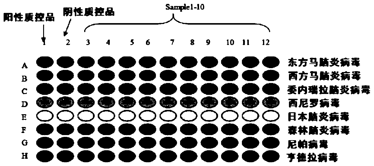 An RT-PCR primer and probe combination and kit for simultaneous detection of 8 arboviruses