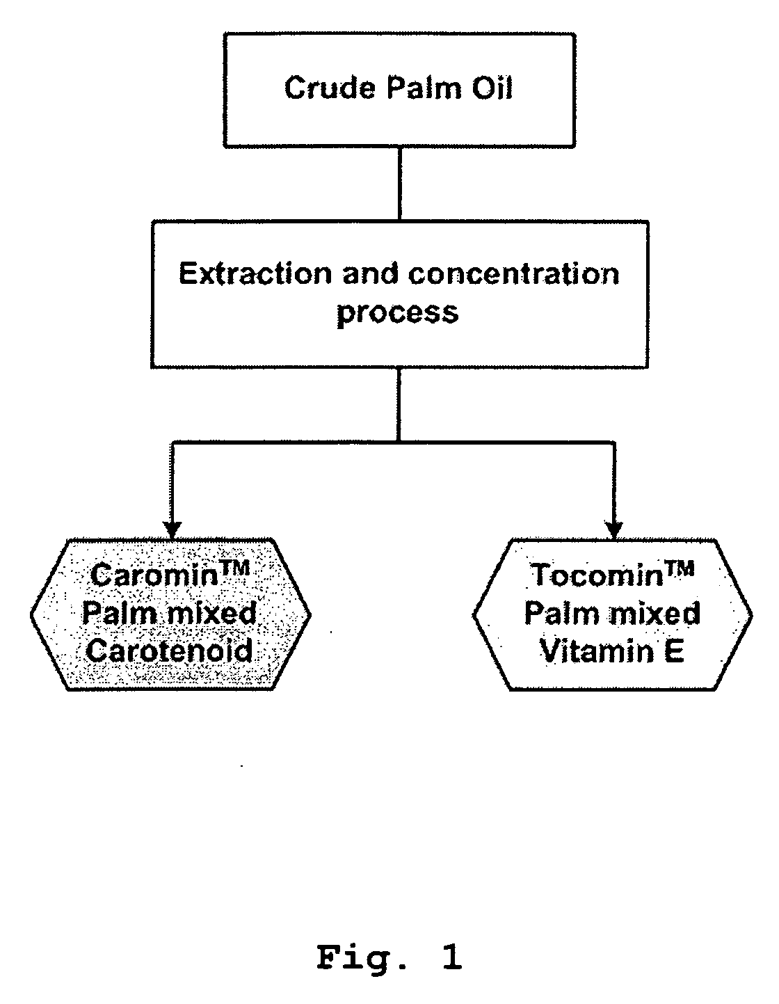Process for production of highly enriched fractions of natural compounds from palm oil with supercritical and near critical fluids