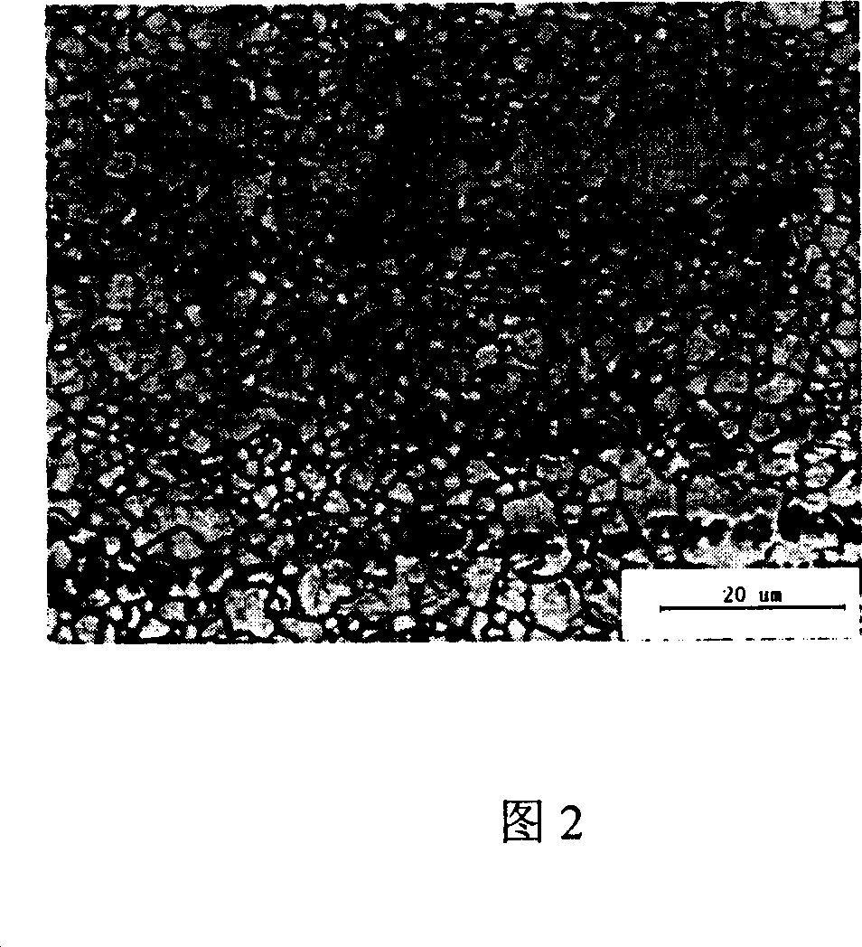 Method for preparation of alloy extrudate