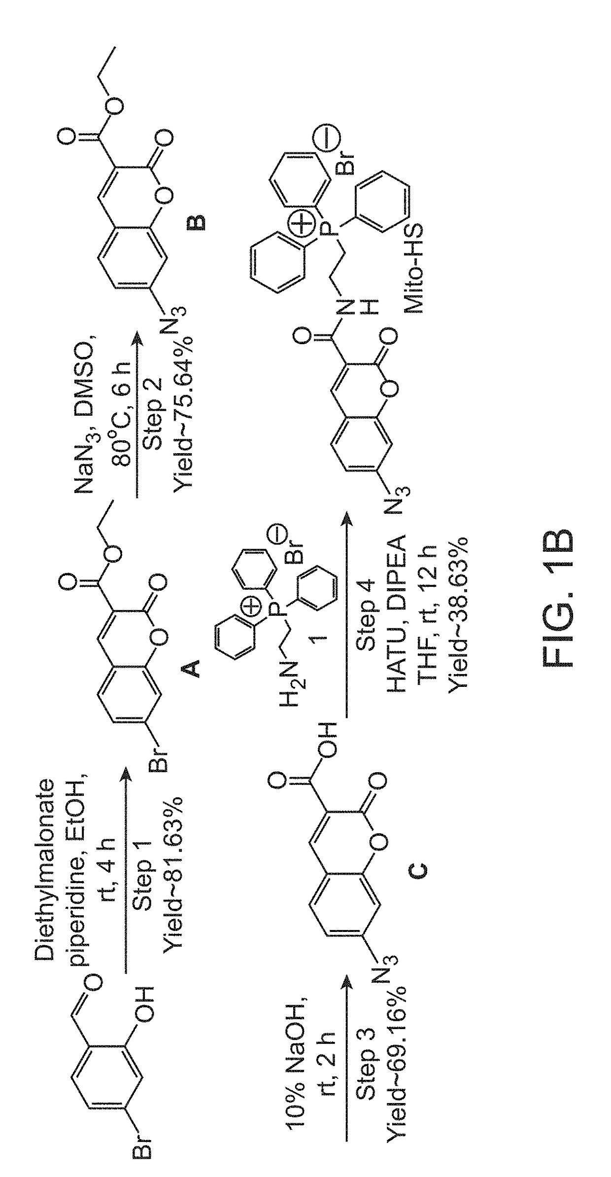 Flourescent exomarker probes for hydrogen sulfide detection