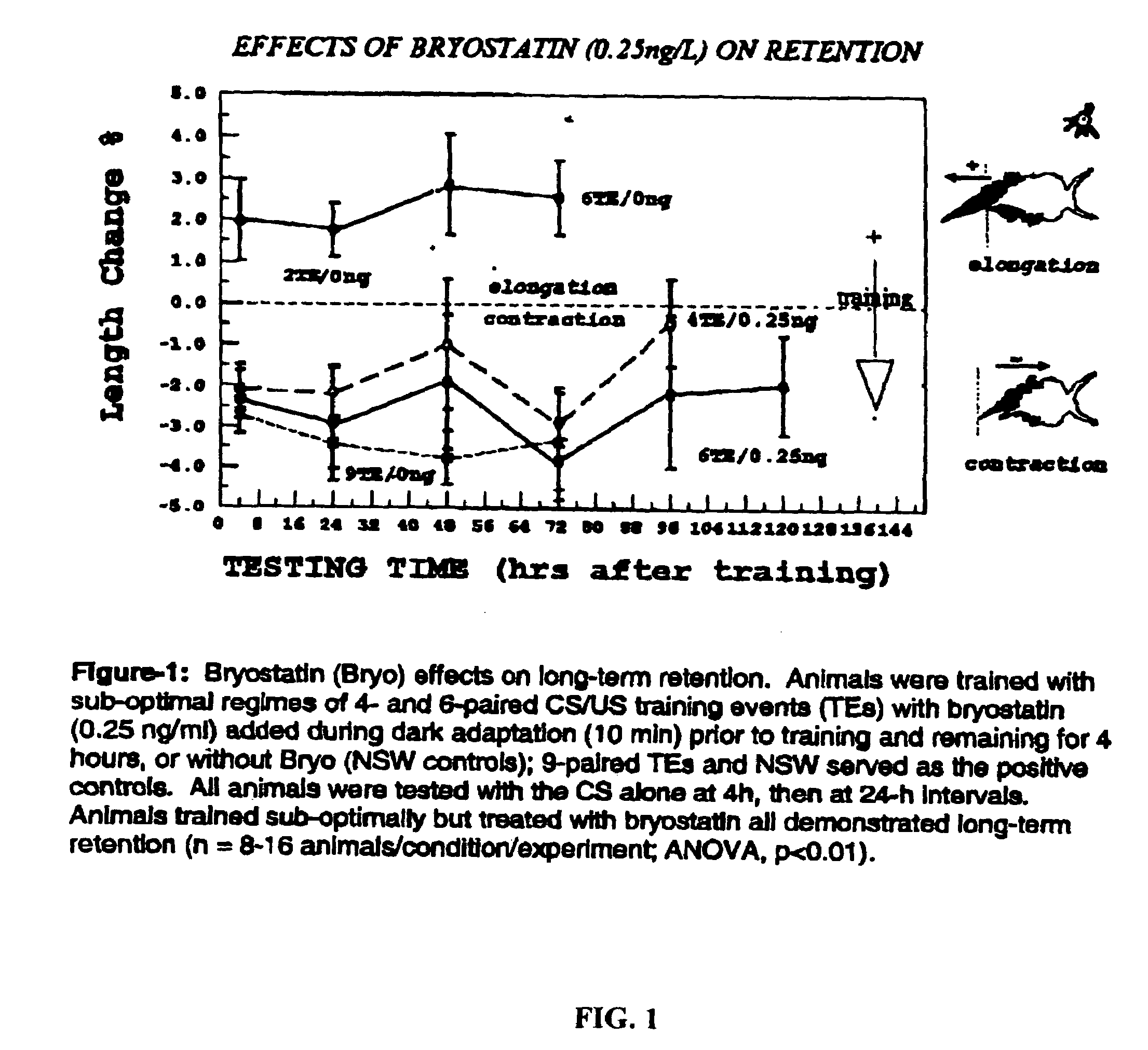 Methods of stimulating cellular growth, synaptic remodeling and consolidation of long-term memory