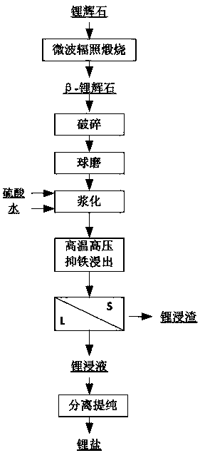 A method based on combined leaching of spodumene by microwave and pressure field