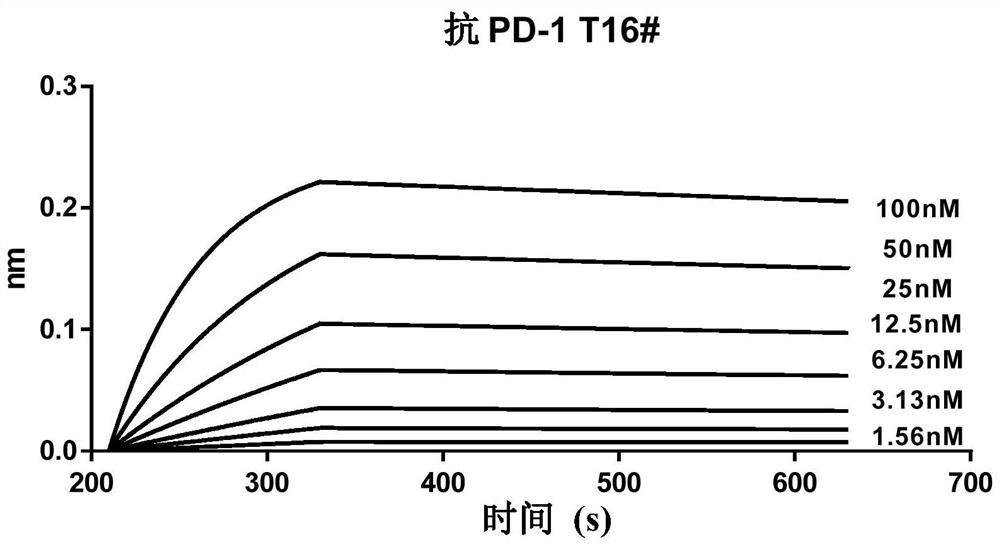 Bispecific antibody targeting HER2 and PD-1 and application thereof
