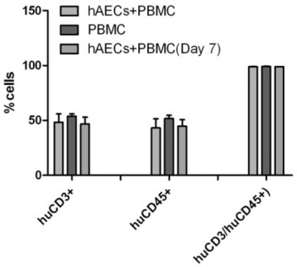 Use of human amniotic epithelial cells in the treatment of graft-versus-host disease