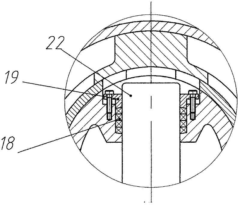 Multi-cylinder radial piston pump