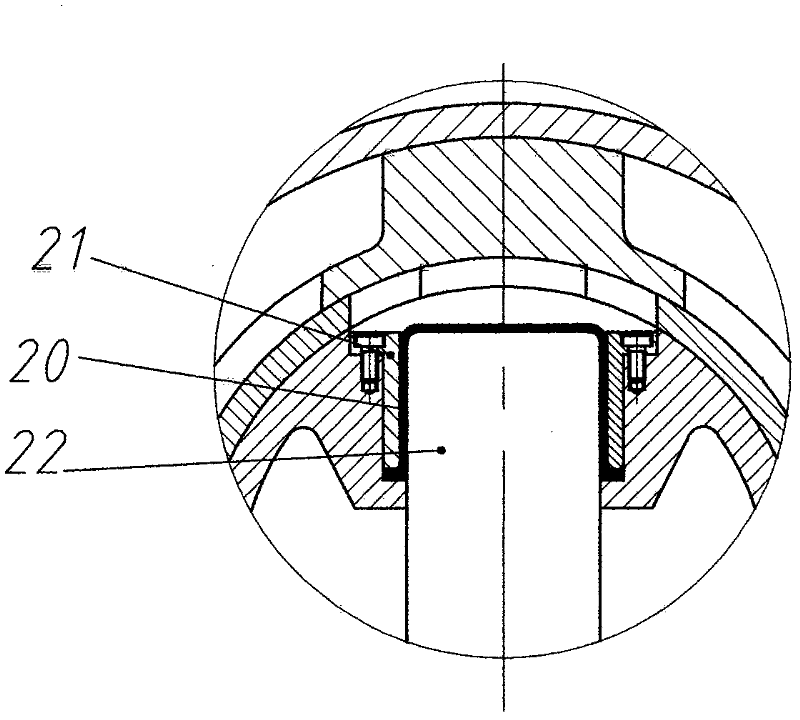 Multi-cylinder radial piston pump