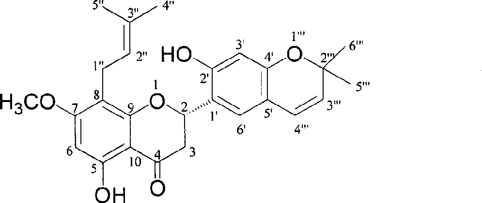 Novel flavonoid extracted from Maackia amurensis