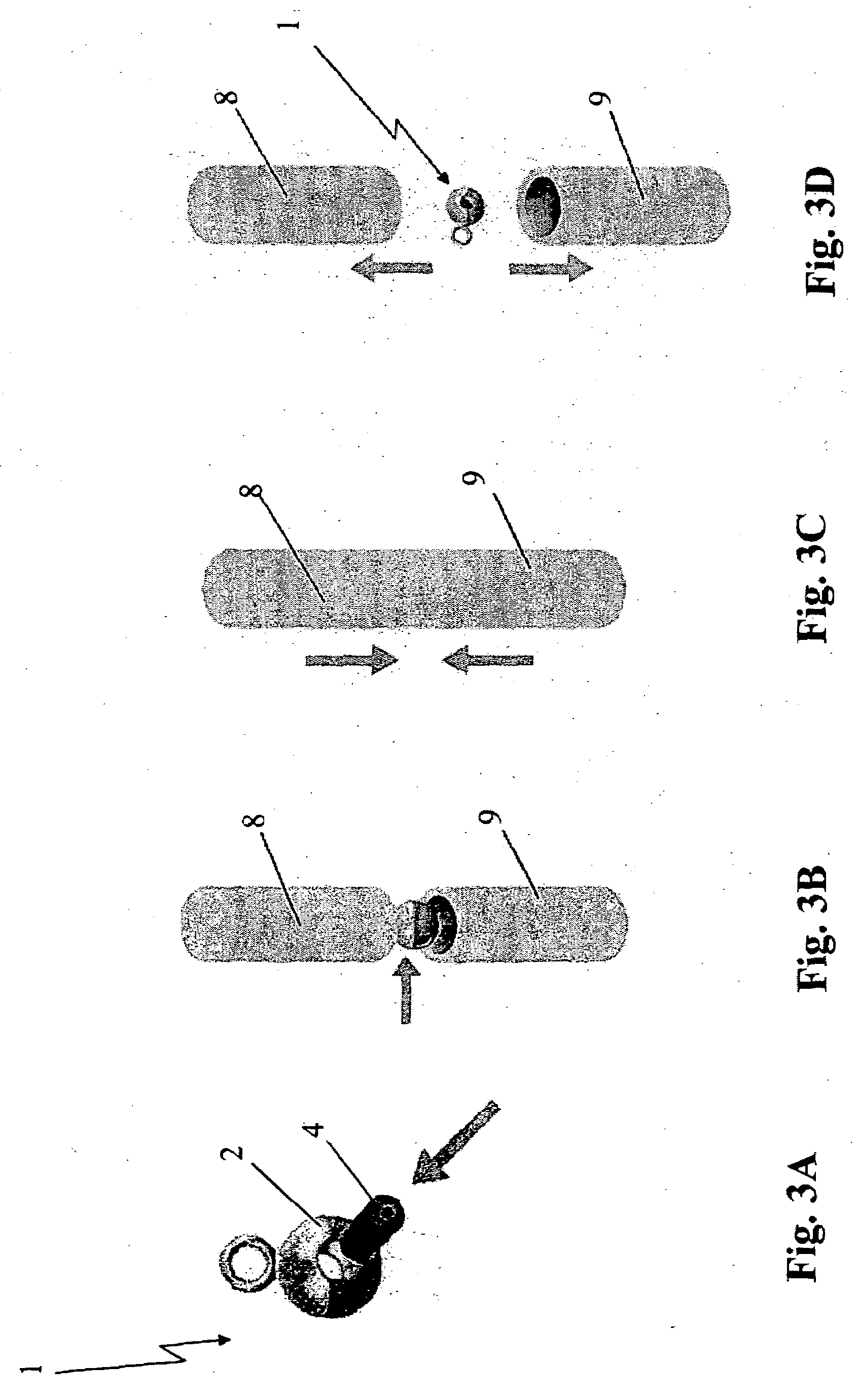 Device for adjusting ornamental chains and method for the manufacture thereof