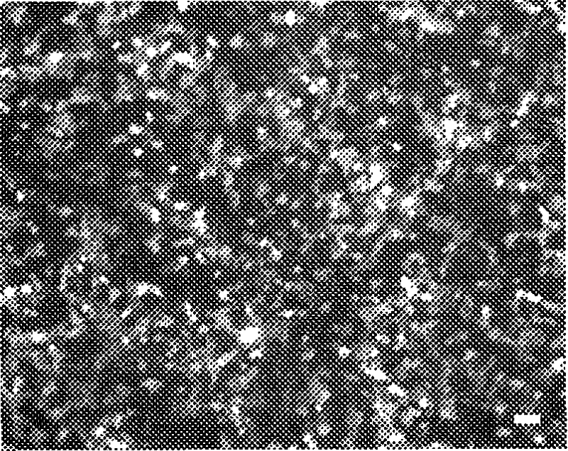 Gene vector system containing targeted shading system, preparation and use thereof