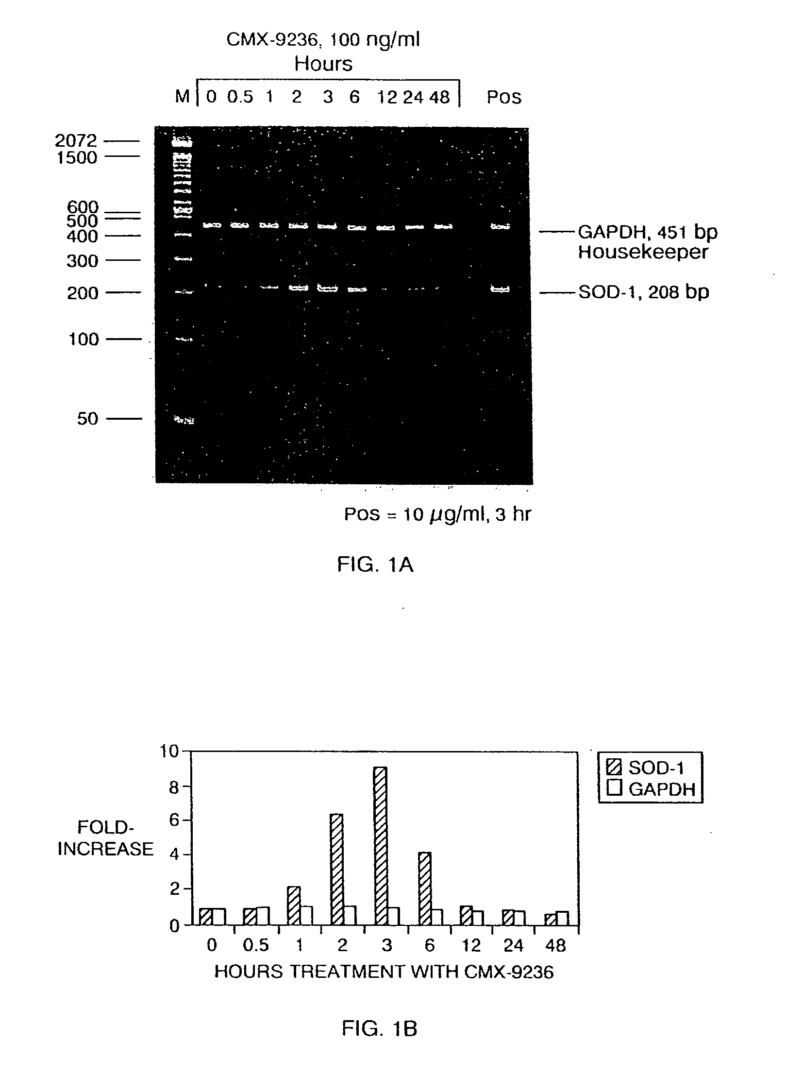 Compositions and methods for counteracting effects of reactive oxygen species and free radicals