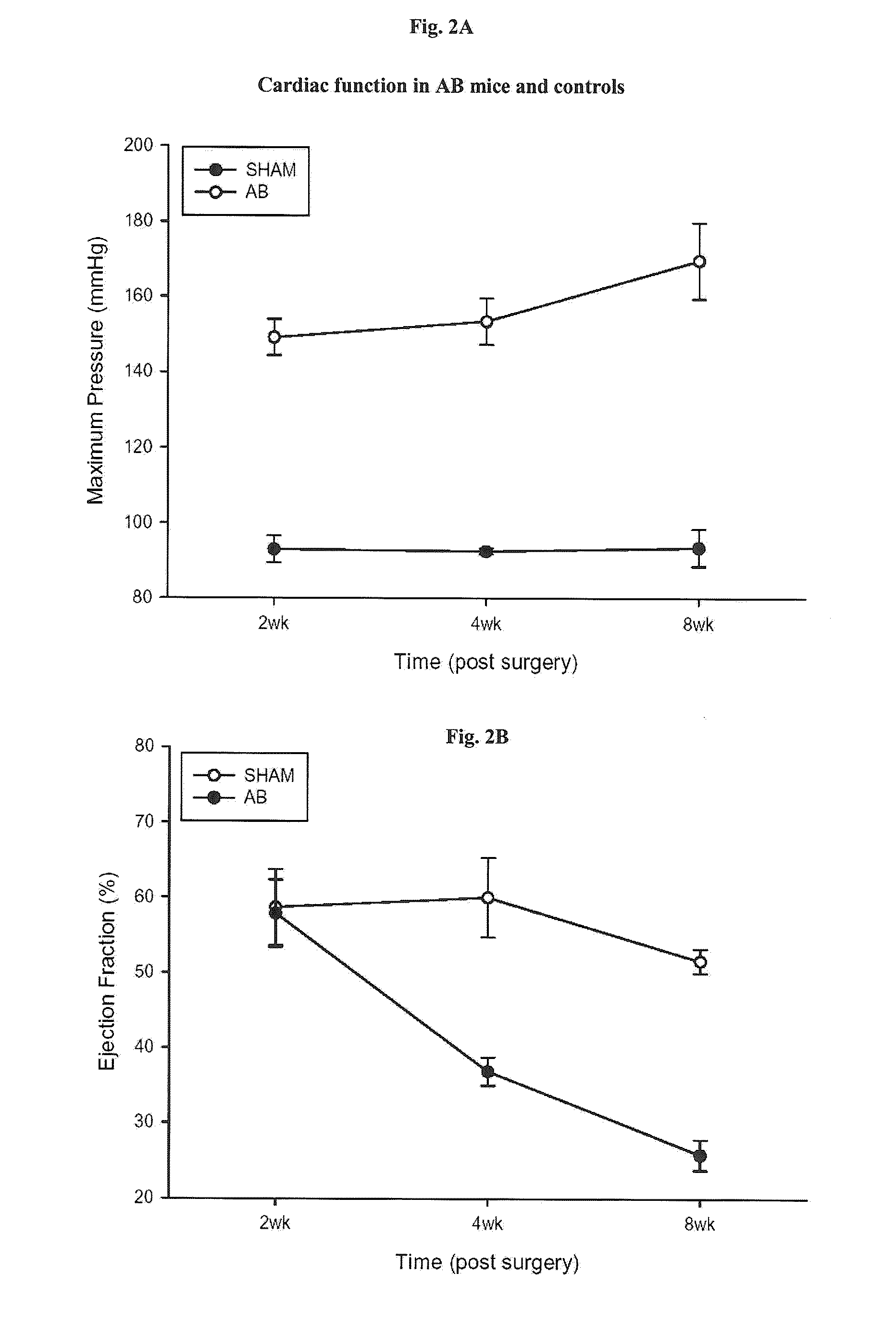 Use of slim-1 in the assessment of heart failure