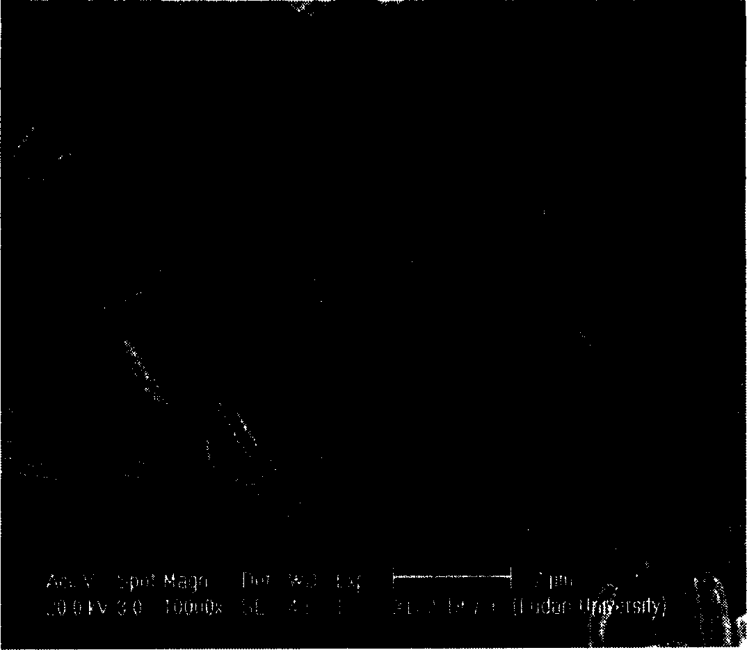 Process of preparing FER zeolite inside surfactant system