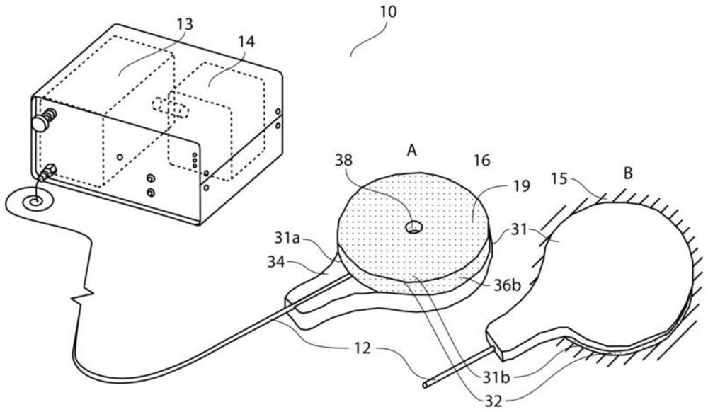 System and method for rapid blood gas monitoring