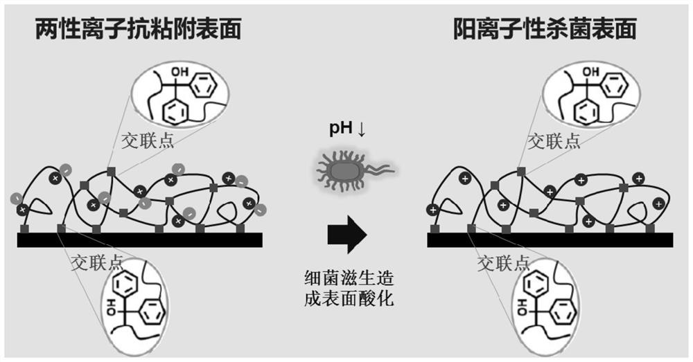 Antibacterial coating with ph response function, functional material with antibacterial coating and preparation method thereof