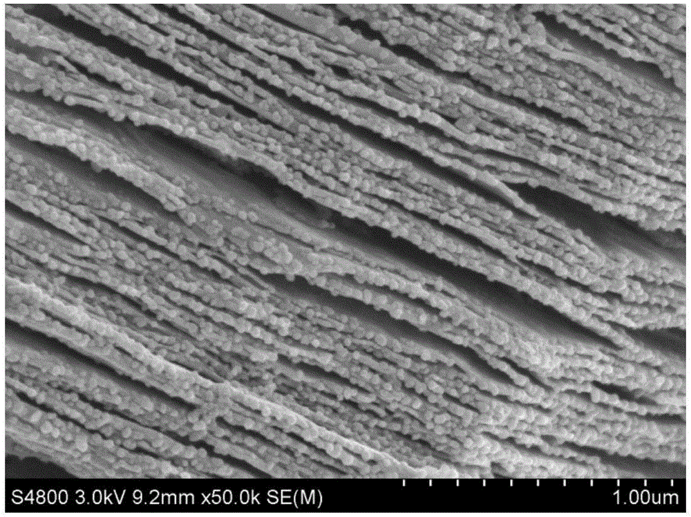 Polyaniline nano particle/two-dimensional layered titanium carbide composite material and low-temperature preparation method of polyaniline nano particle/two-dimensional layered titanium carbide composite material