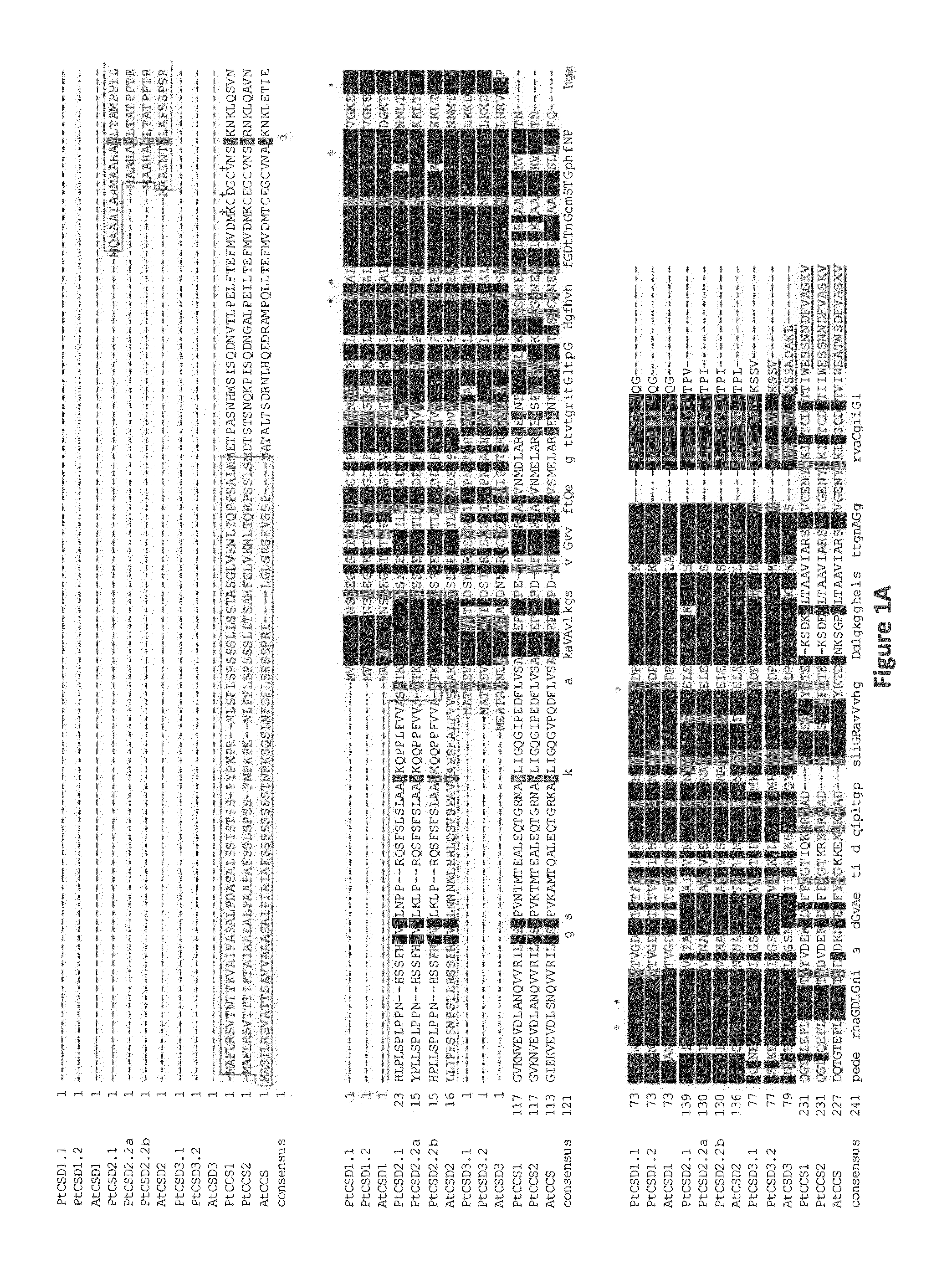 Drought Stress Tolerance Genes and Methods of Use Thereof to Modulate Drought Resistance in Plants