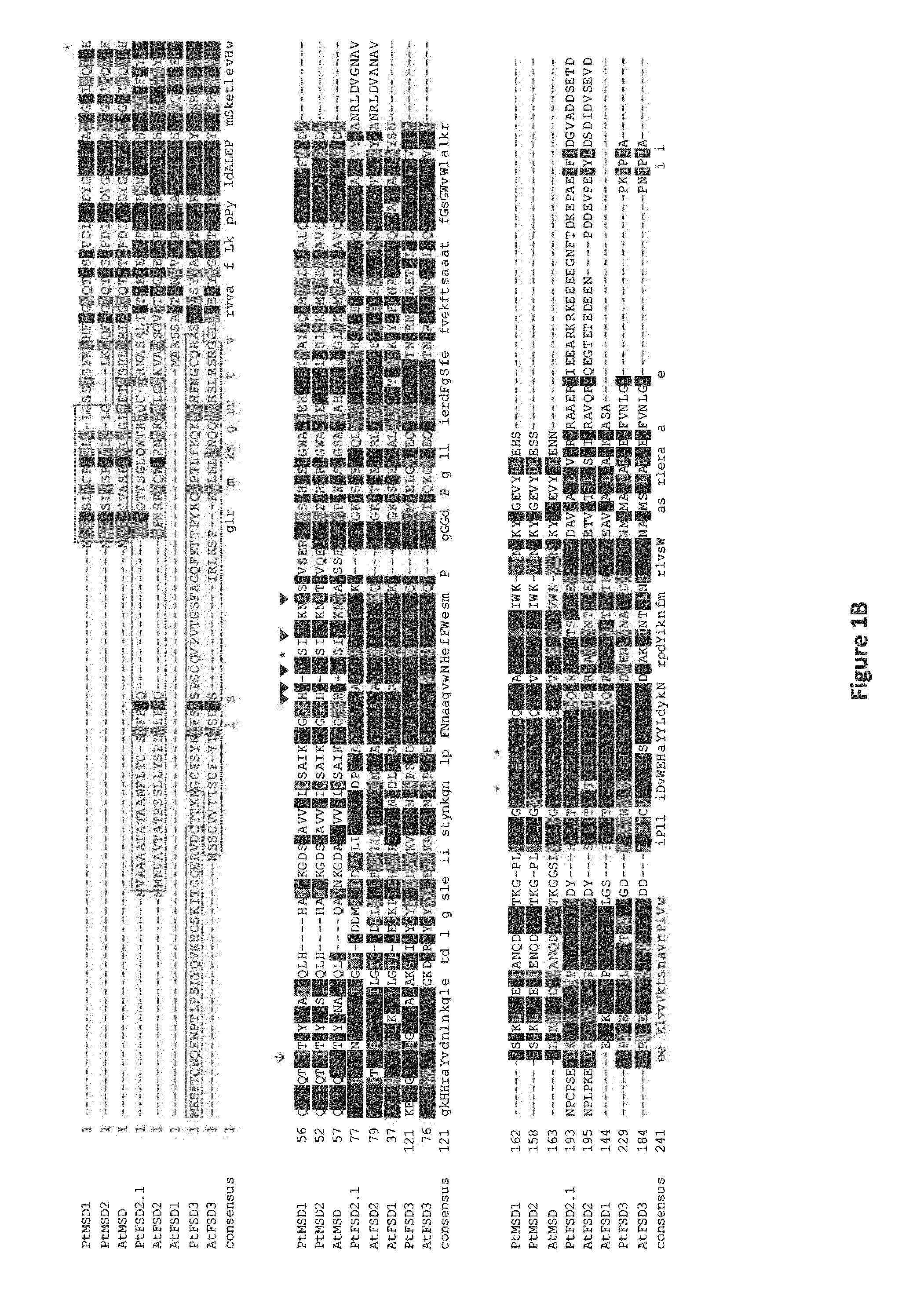 Drought Stress Tolerance Genes and Methods of Use Thereof to Modulate Drought Resistance in Plants