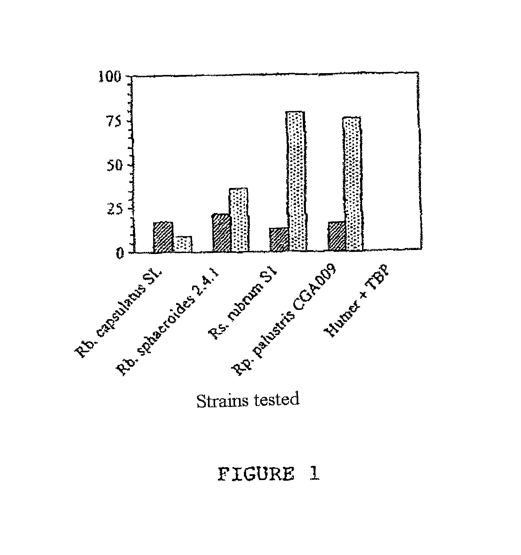 Method of degrading TBP using a photosynthetic bacterial strain