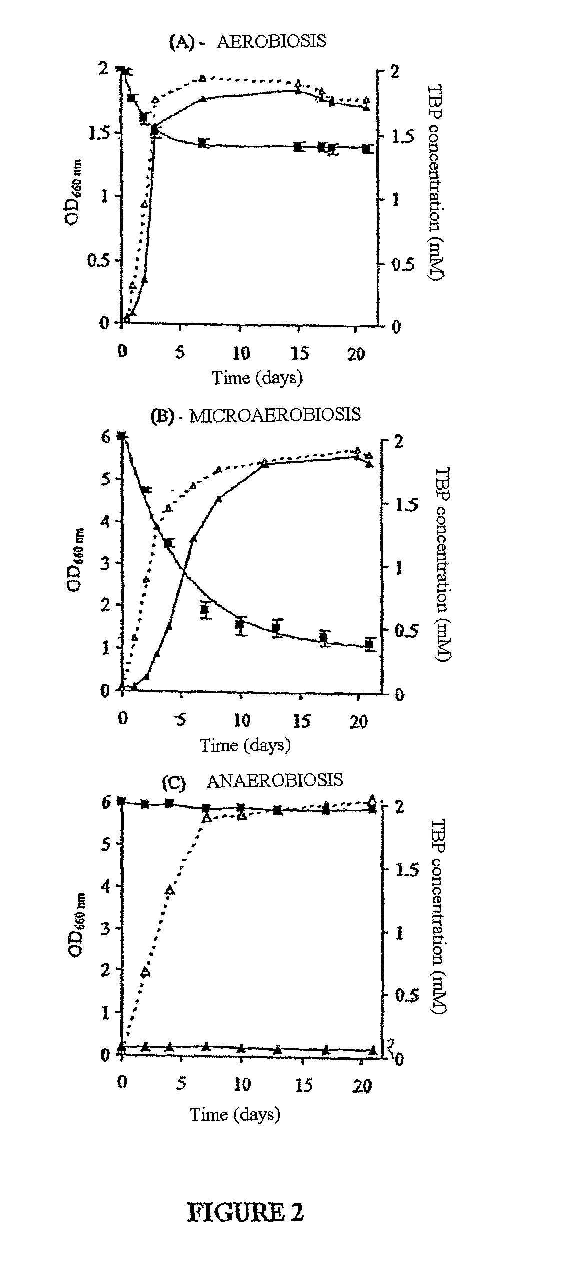 Method of degrading TBP using a photosynthetic bacterial strain