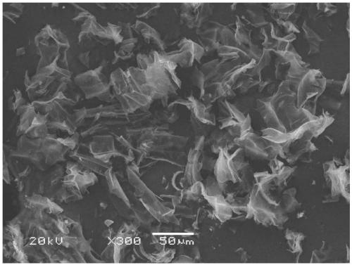 Calcium zinc phosphate/bagasse composite anti-corrosion pigment and preparation method thereof