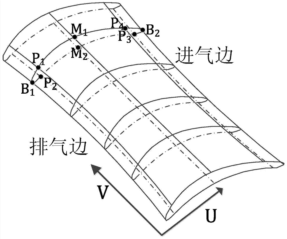 Unified discretization method for blade curved surfaces based on curvature characteristics