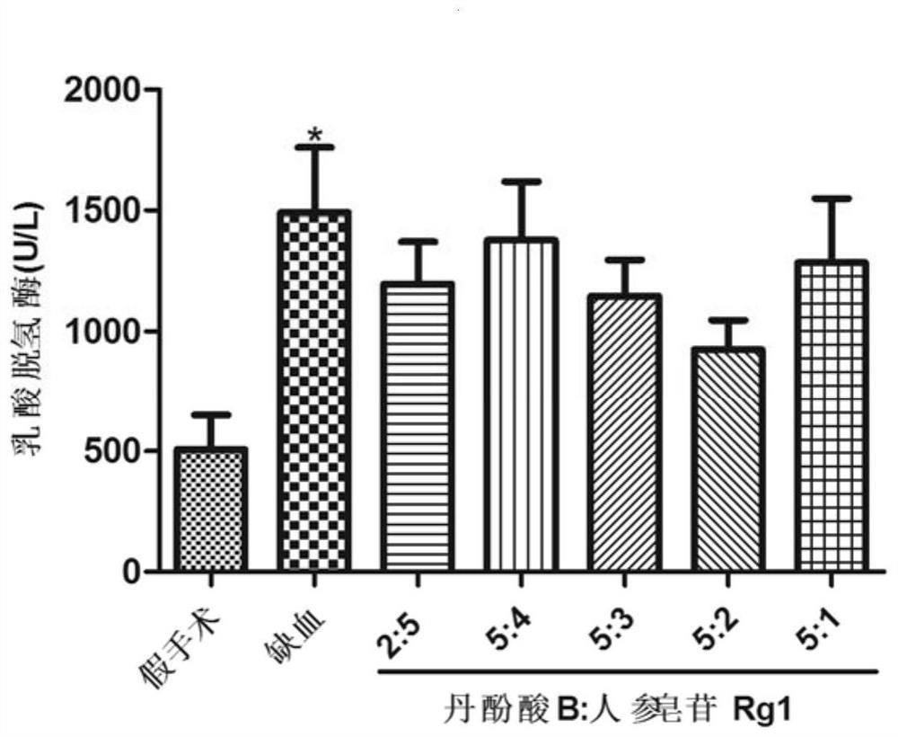 Pharmaceutical composition and application thereof