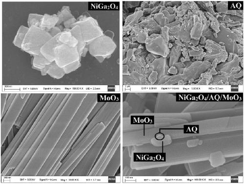 Novel photocatalyst NiGa2O4/AQ/MoO3 as well as preparation method and application thereof