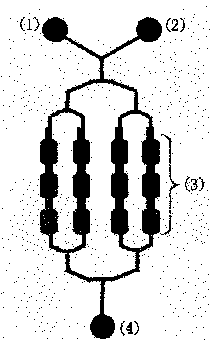 Microfluidic chip group used for screening formyl peptide receptor agonist and screening method