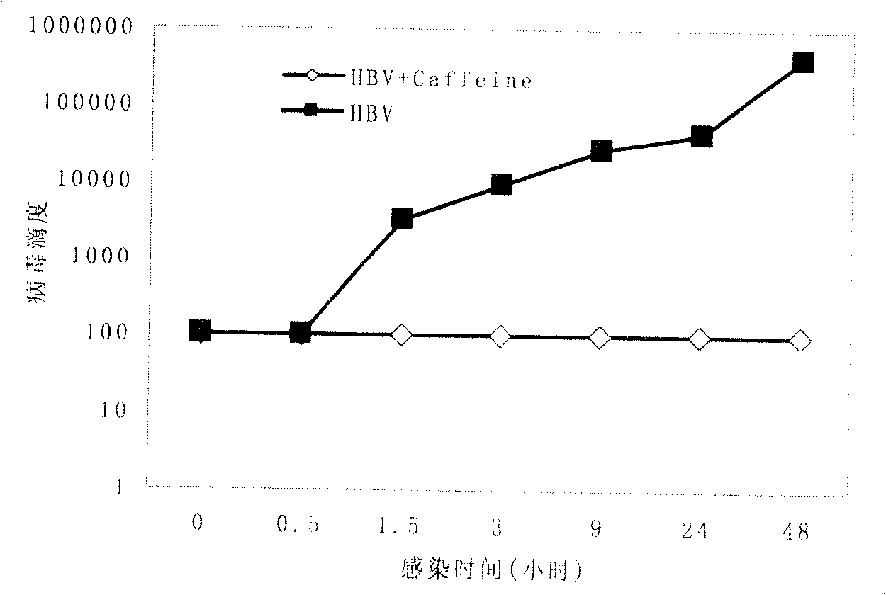 Usage of caffeine and its analogue in resistance of hepatitis B replication and use thereof in preparation of medicament for treating viral hepatitis