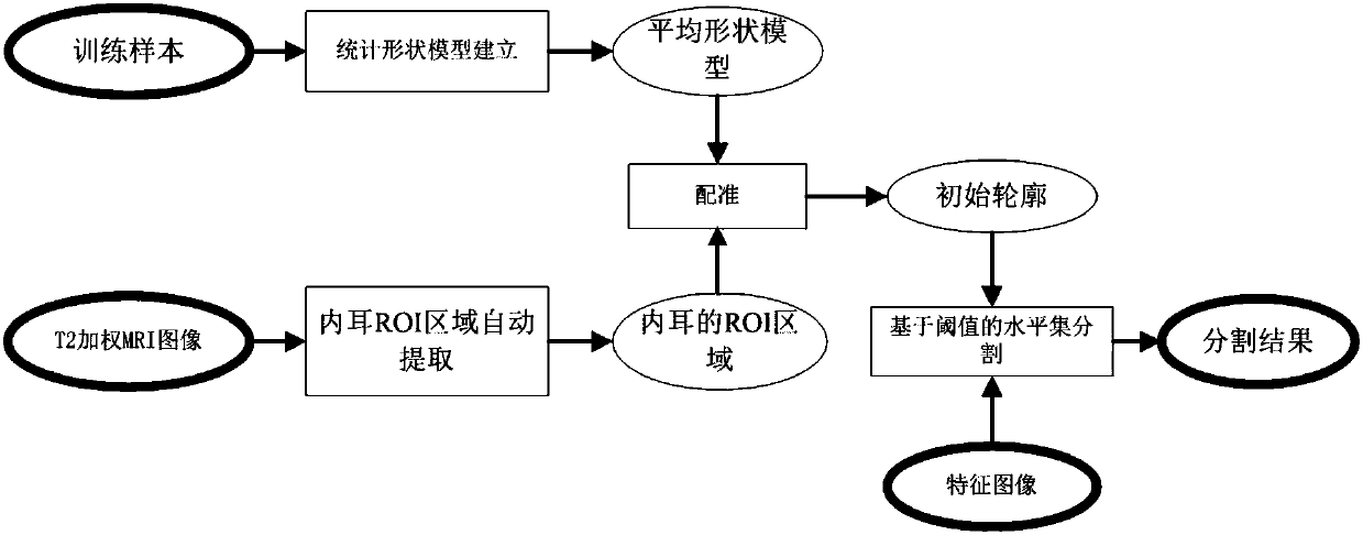 Inner-ear three-dimensional level set segmentation method based on statistical shape model