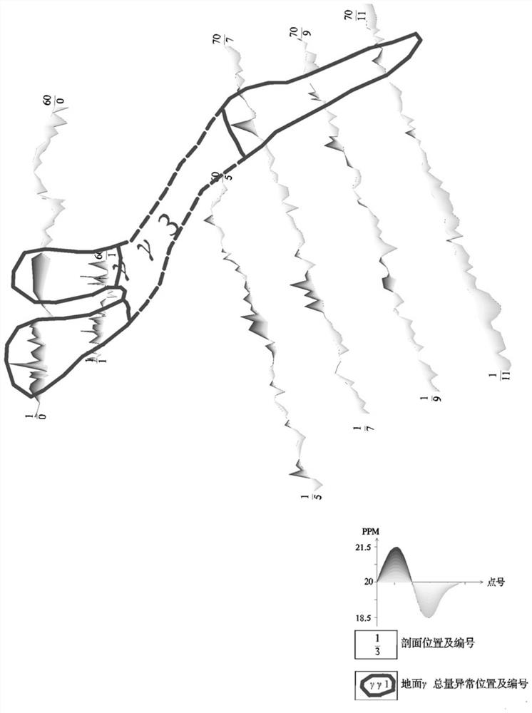 Delineation method of pegmatite lithium deposit based on γ total amount and high-density electric method measurement