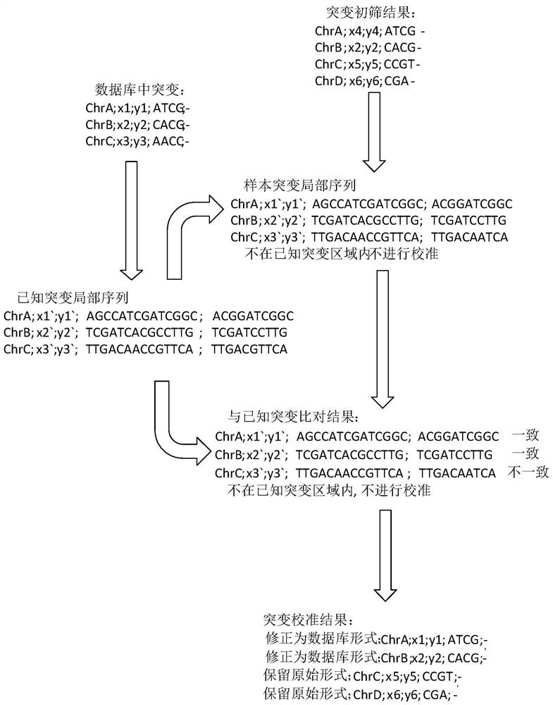 High-throughput sequencing data processing method, processing device, storage medium and processor