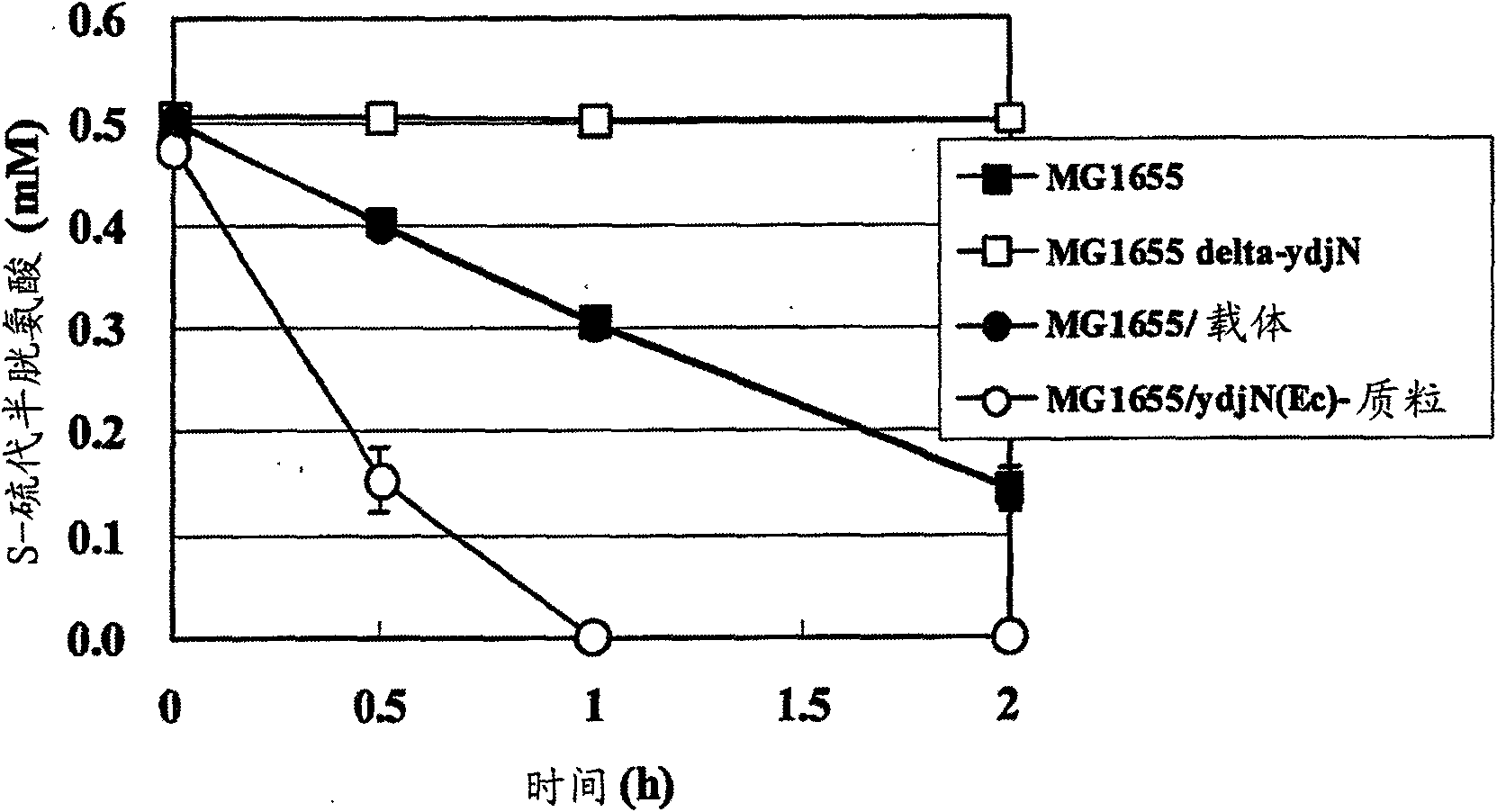 An l-cysteine-producing bacterium and a method for producing l-cysteine