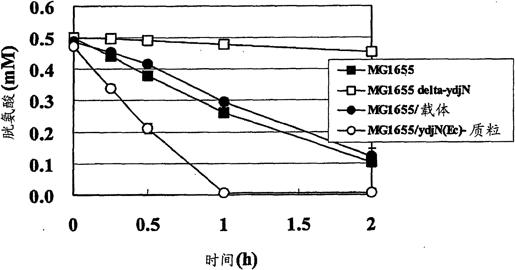 An l-cysteine-producing bacterium and a method for producing l-cysteine